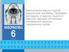 Компьютерные вирусы и другие вредоносные программы. Программы для защиты от вирусов  (6класс)