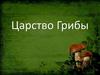 Царство Грибы