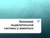 Эволюция выделительной системы у животных