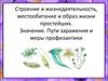 Строение и жизнедеятельность, местообитание и образ жизни простейших. Значение. Пути заражения и меры профилактики