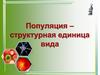 Популяция – структурная единица вида