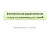 Вегетативное размножение покрытосеменных растений. 6 класс
