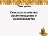 Сельское хозяйство: растениеводство и животноводство