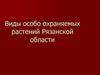 Виды особо охраняемых растений Рязанской области