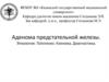 Аденома предстательной железы