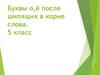 Буквы о, ё после шипящих в корне слова  (5 класс)
