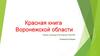 Красная книга Воронежской области