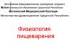 Физиология пищеварения. Сущность и значение пищеварения