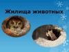 Жилища животных