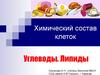 Химический состав клеток. Углеводы. Липиды
