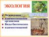 Межвидовые отношения организмов. Виды биотических взаимоотношений