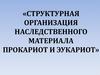 Структурная организация наследственного материала прокариот и эукариот