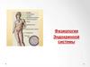 Эндокринная система