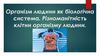 Організм людини як біологічна система. Різноманітність клітин організму людини