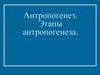 Антропогенез. Этапы антропогенеза