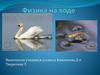 Физика на воде
