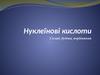 Нуклеїнові кислоти. Склад, будова, порівняння