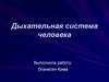 Дыхательная система человека