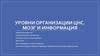 Уровни организации ЦНС. Мозг и информация