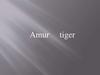 Amur tiger