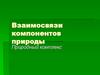 Взаимосвязи компонентов природы