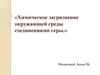Химическое загрязнение окружающей среды соединениями серы