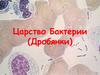 Царство Бактерии (Дробянки)
