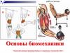 Основы биомеханики