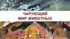 Чарующий мир животных