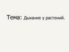 Дыхание у растений. Виды животных по способу питания