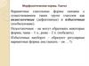 Морфологические нормы. Глагол Вариантные глагольные формы связаны с существованием таких групп глаголов