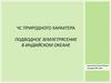 ЧС природного характера. Подводное землетрясение в Индийском океане