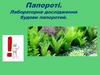 Папороті. Лабораторне дослідження будови папоротей