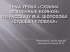 «Судьбы, опаленные войной» по рассказу М.А. Шолохова «Судьба человека»