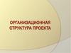 Организационная структура проекта