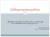 Влажность. Лабораторная работа