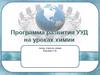 Программа развития УДД на уроках химии