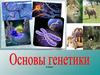 Основы генетики. 9 класс