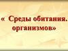 Среды обитания организмов
