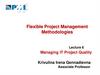 Flexible Project Management Methodologies. Lecture 6. Managing IT Project Quality