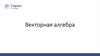 Векторная алгебра  (лекция 9)