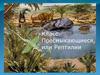 Класс Пресмыкающиеся или Рептилии