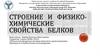 Строение и физико - химические свойства белков