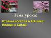 Страны востока в XIX веке. Япония и Китай  (9 класс)