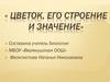 Цветок, его строение и значение. Строение обоеполого цветка