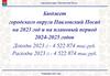Бюджет городского округа Павловский Посад на 2023 год и на плановый период 2024-2025 годов
