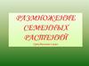 Размножение семенных растений