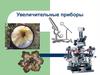 Увеличительные приборы. Знакомство с устройством увеличительных приборов, правилами работы с ними