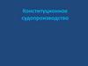 Конституционное судопроизводство