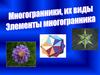 Многогранники, их виды. Элементы многогранника